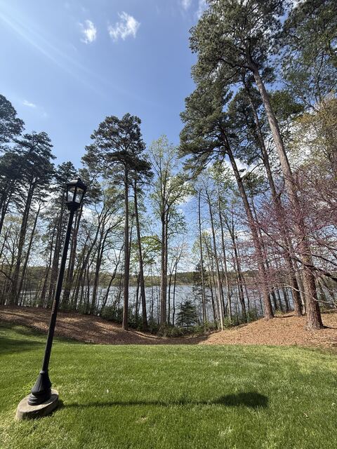 Tall pines and a lake outside the conference venue in Raleigh