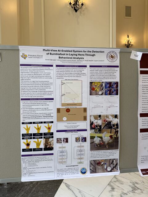 The bumblefoot detection poster mounted on the conference board