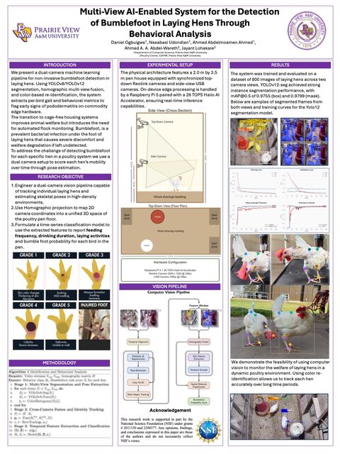 Research poster: Multi-View AI-Enabled System for the Detection of Bumblefoot in Laying Hens Through Behavioral Analysis